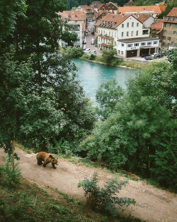 Bern switzerland