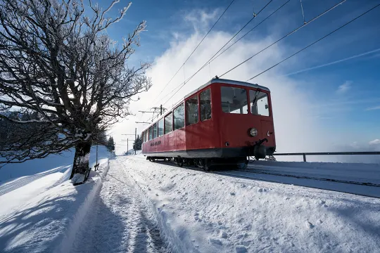 rigi-rigi-railway